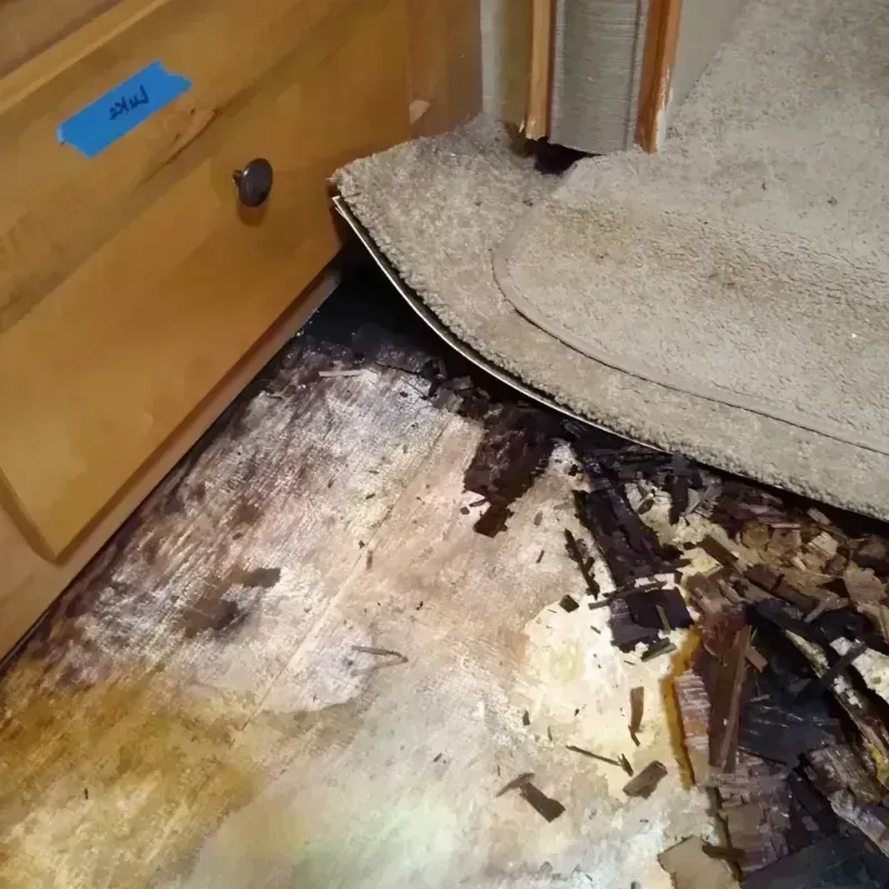 Best Wood Floor Water Damage Service in Saint Cloud, FL